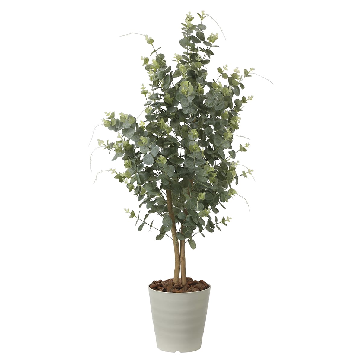 ユーカリ1.25 370P220-画像1