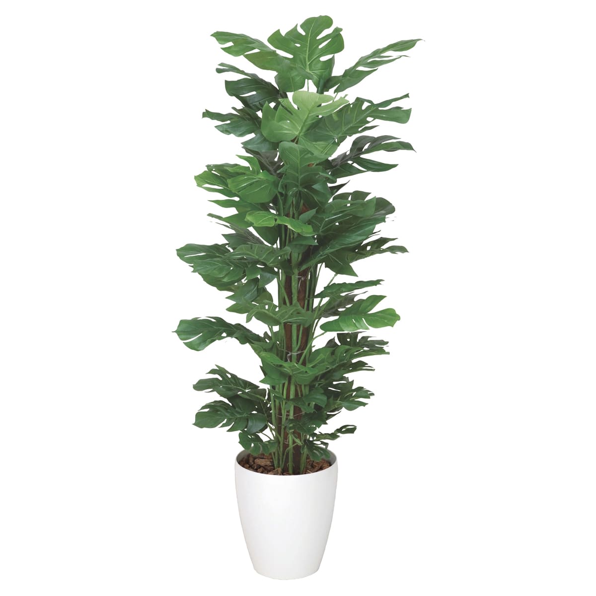 スプリット1.2 374K220-画像1