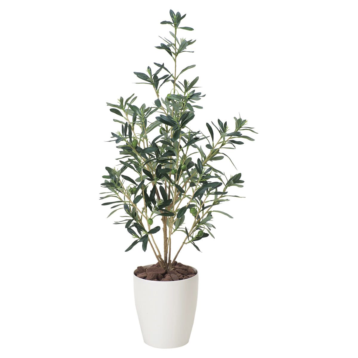 オリーブ90 378P130-画像1