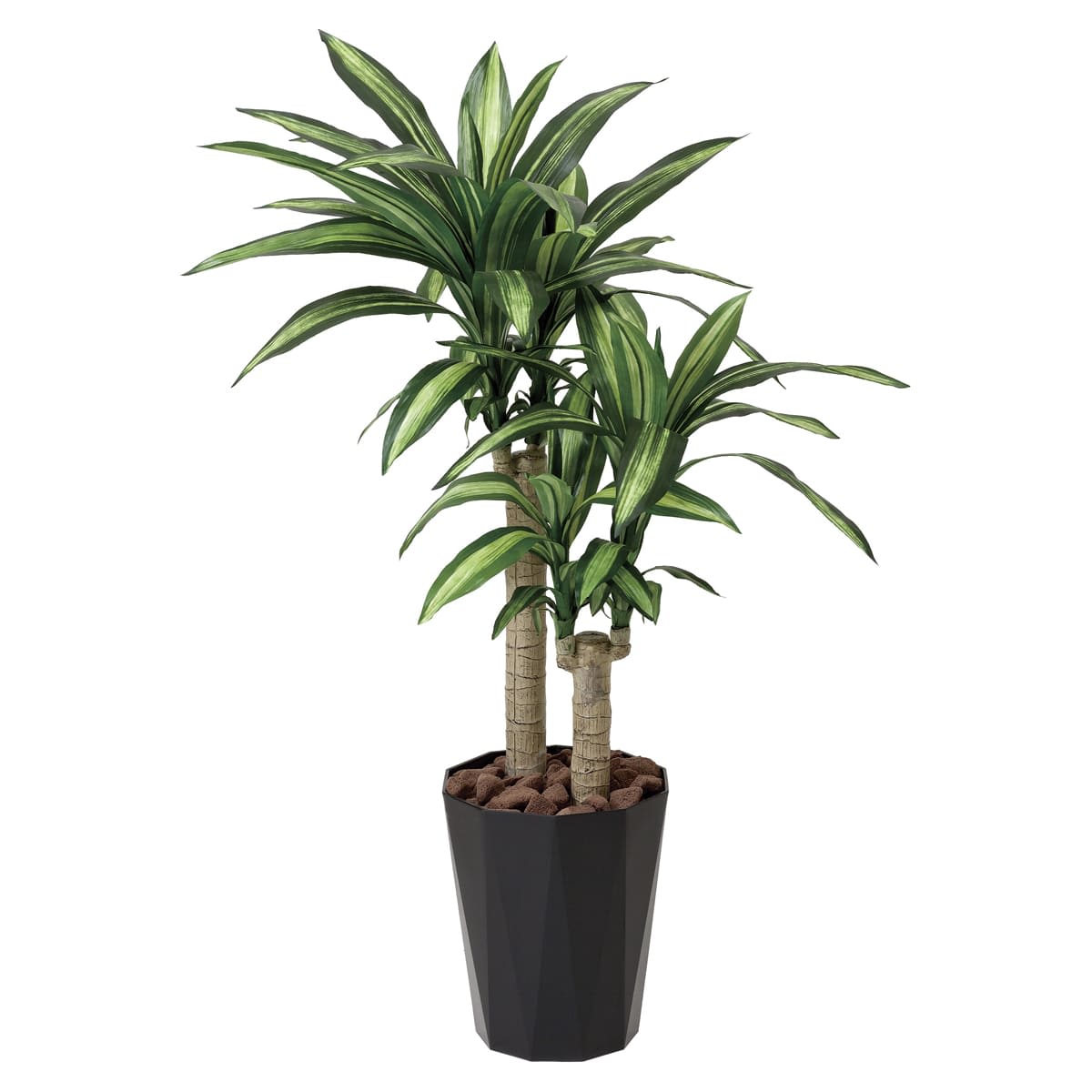 幸福の木1.1 406G200-画像1