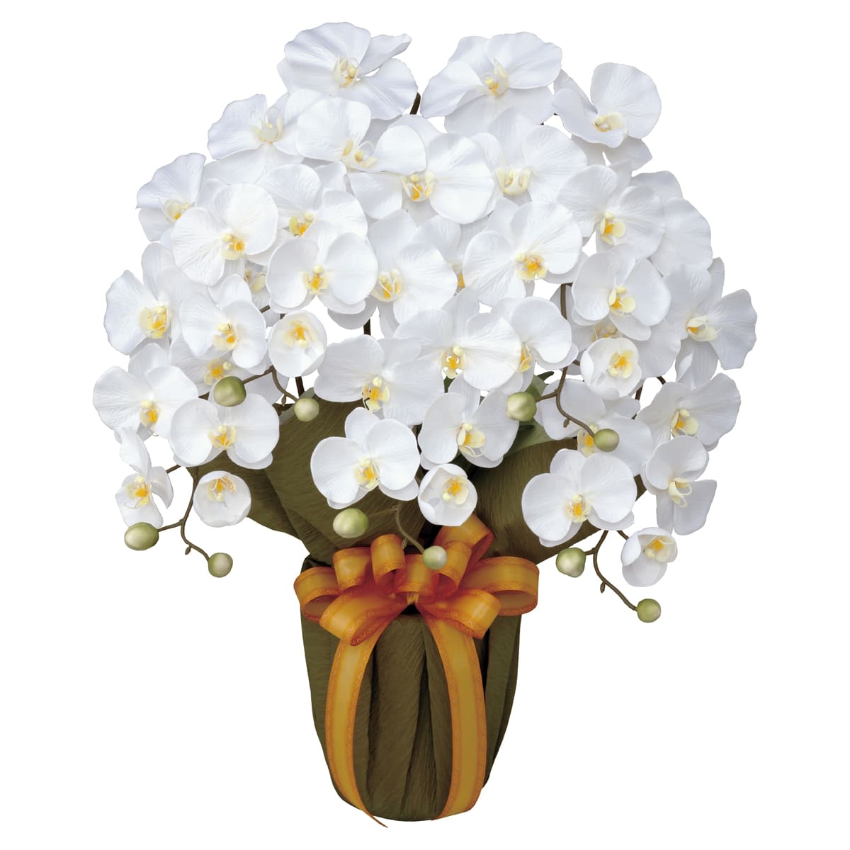 エレガント胡蝶蘭5本立W 452A80-画像1