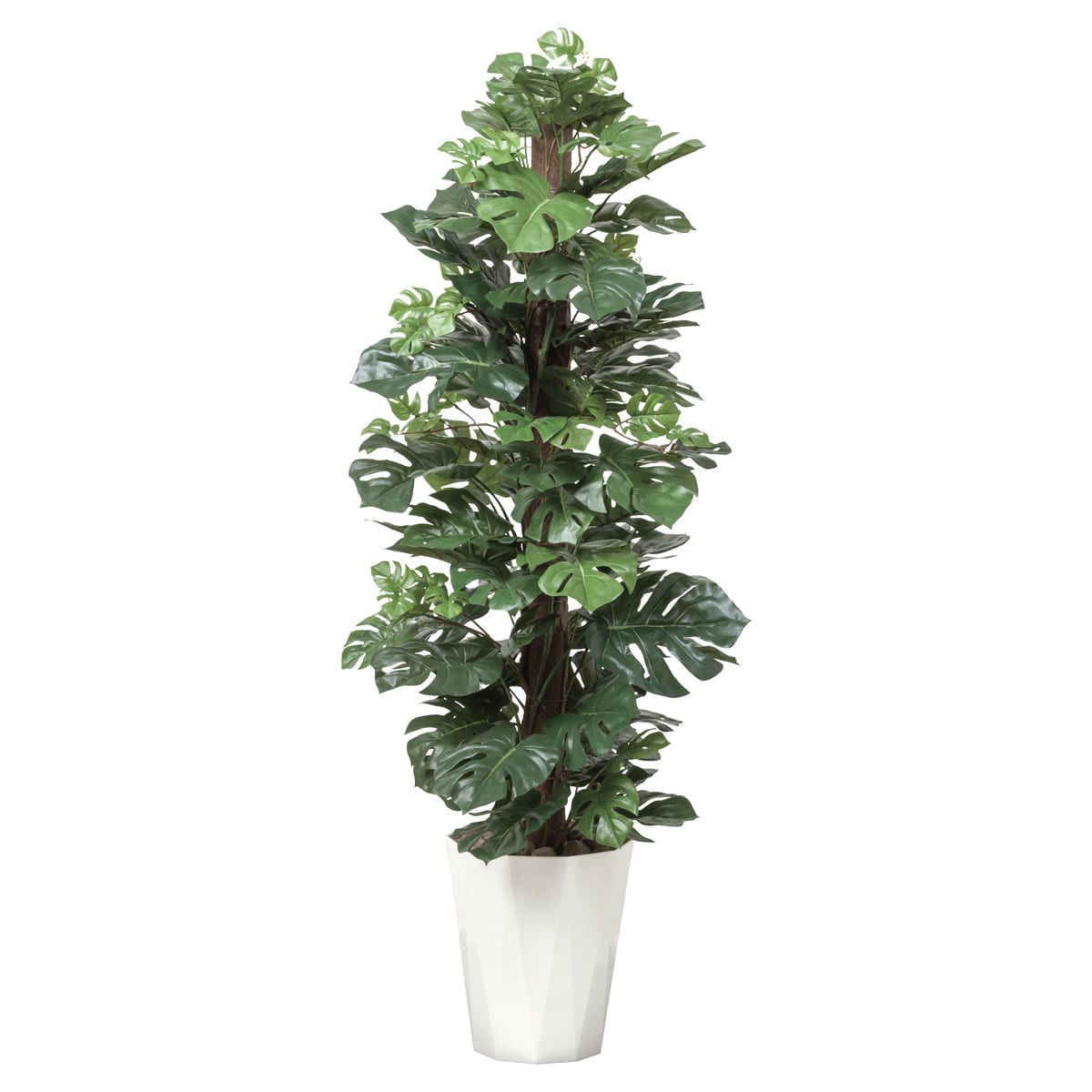 スプリット1.35 512A250-画像1