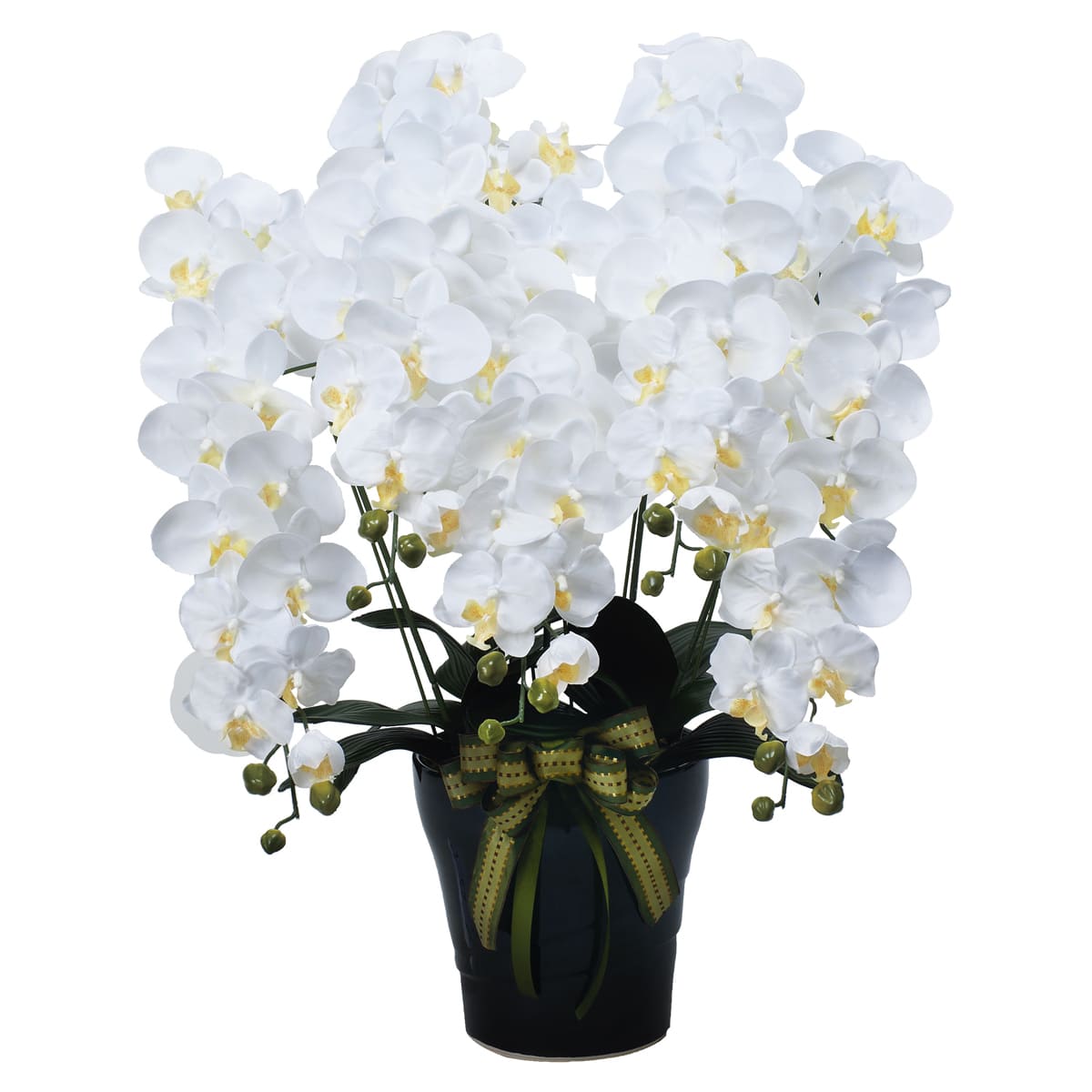 ロイヤル胡蝶蘭5本立W 532A300-画像1