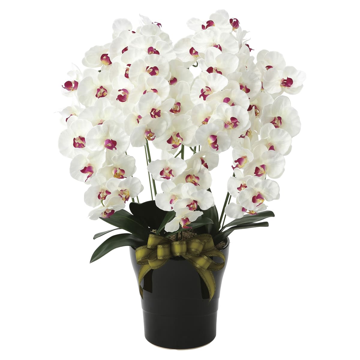 プレミアム胡蝶蘭5本立W／AB 653K200-画像1