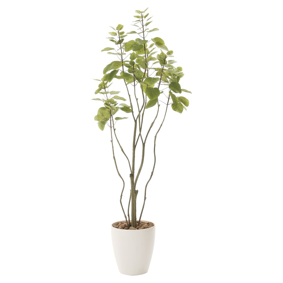 光触媒 人工観葉植物 フェイクグリーン フィカスブランチツリー1.7