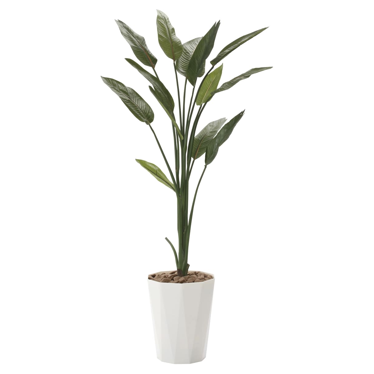 光触媒 人工観葉植物 ウォールグリーン フェイクグリーン ストレチア1.6m ストレチア1.6 729P290」アートクリエイションのフェイクグリーン
