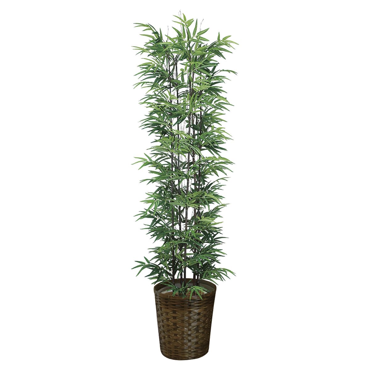 黒竹1.8（幹:天然黒竹）775A450｜アートクリエイションのフェイクグリーン