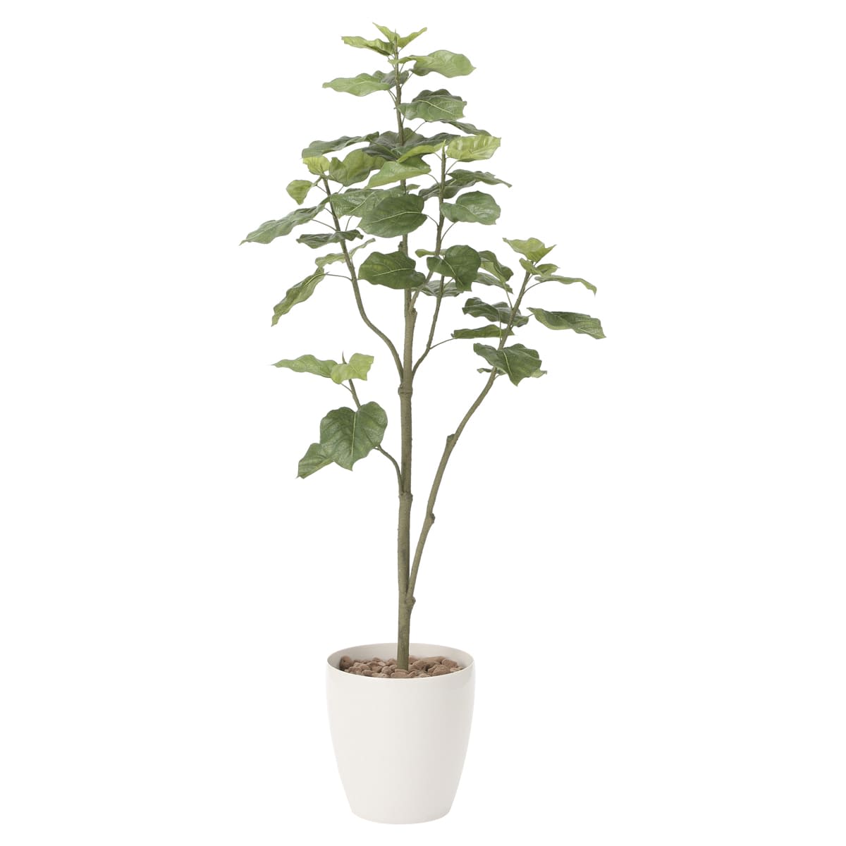 ウンベラータツリー1.8 805A430-画像1