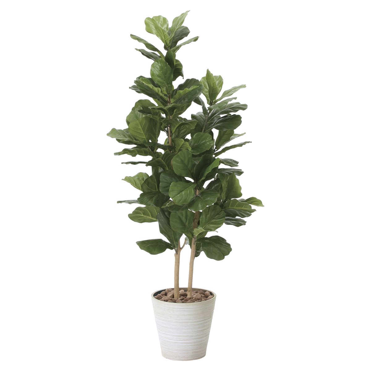 カシワバゴム1.6 2126A380-画像1