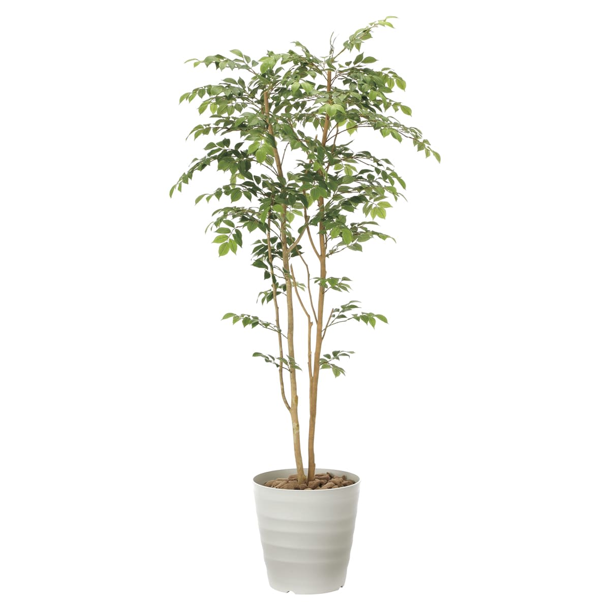 マウンテンアッシュ1.8 900R480｜アートクリエイションのフェイクグリーン