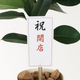 ナチュラルサラサドウダン1.0 2411A215｜アートクリエイションの
