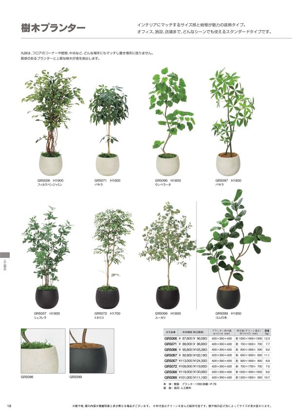 ボックスプランター フィカスベンジャミン H1900 GR5006のカタログ画像-1