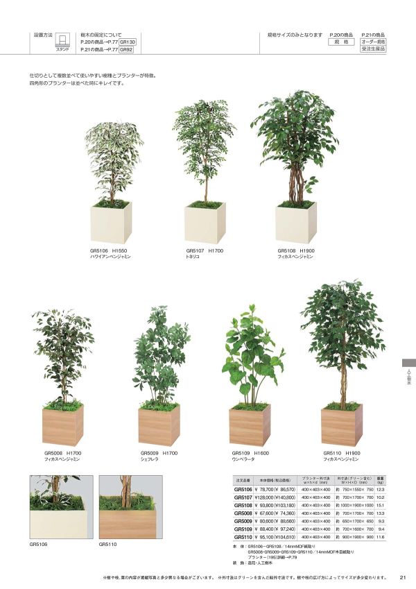 ボックスプランター シェフレラ H1700 GR5009のカタログ画像-1