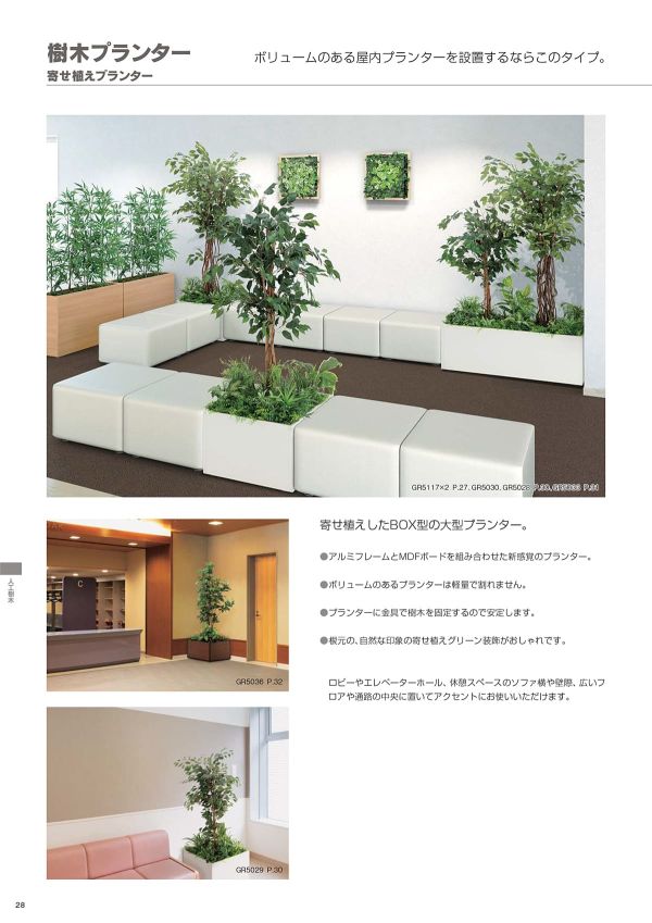 寄せ植えプランター フィカスベンジャミン H2100 GR5030のカタログ画像-2