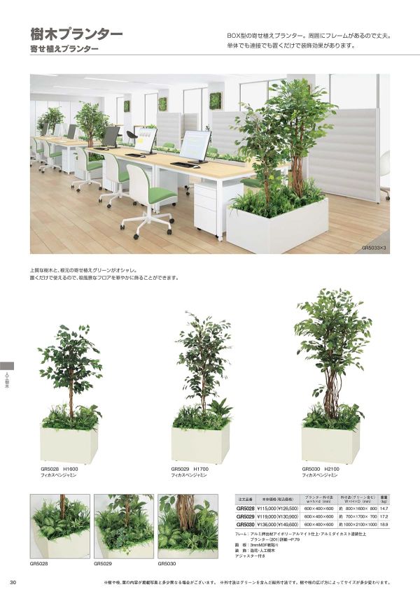 寄せ植えプランター フィカスベンジャミン H2100 GR5030のカタログ画像-1