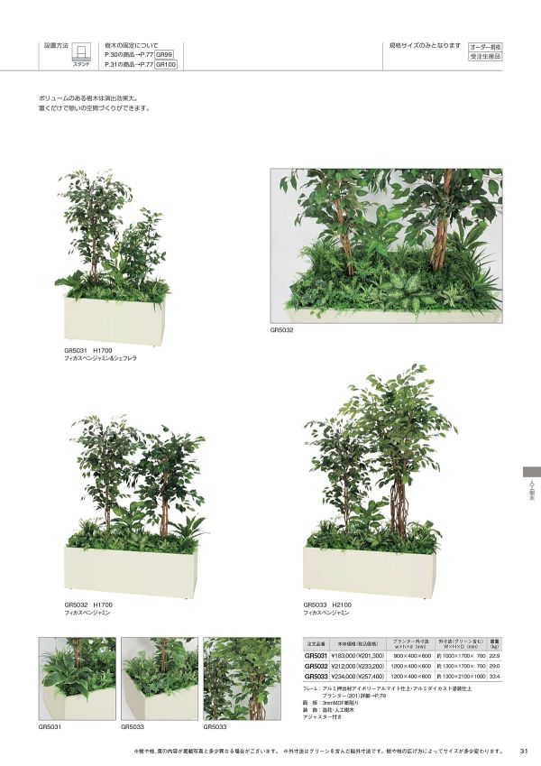 寄せ植えプランター フィカスベンジャミン H1700 GR5032のカタログ画像-1