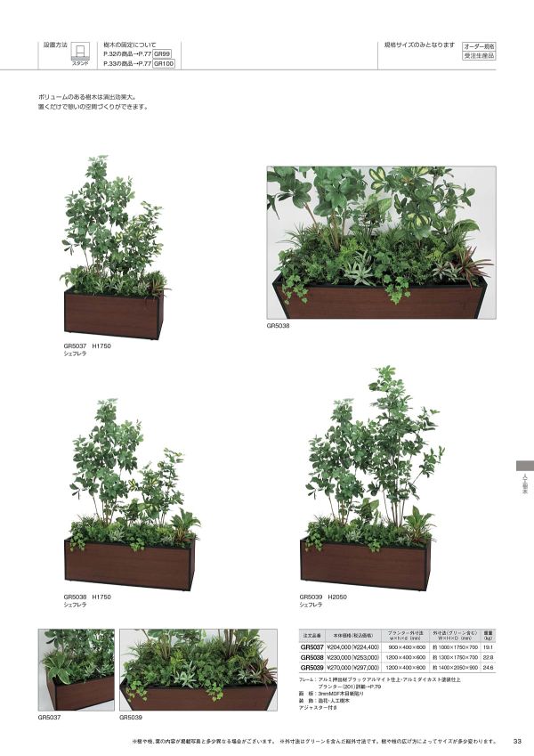 寄せ植えプランター シェフレラ H1750 GR5038のカタログ画像-1