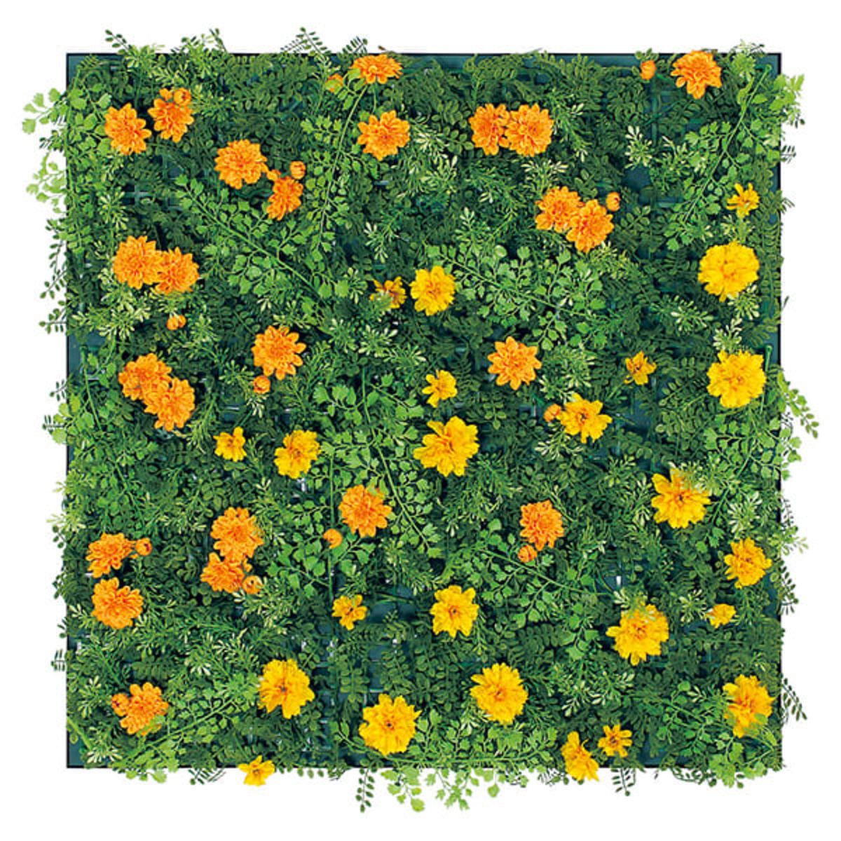 アートパネル フラワー 60角 AR6005-画像1