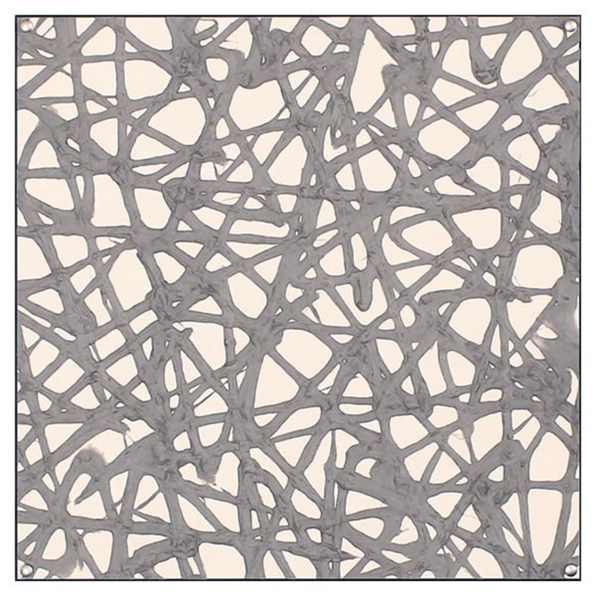 アートパネル マサエコ 45角 AR6023-画像1