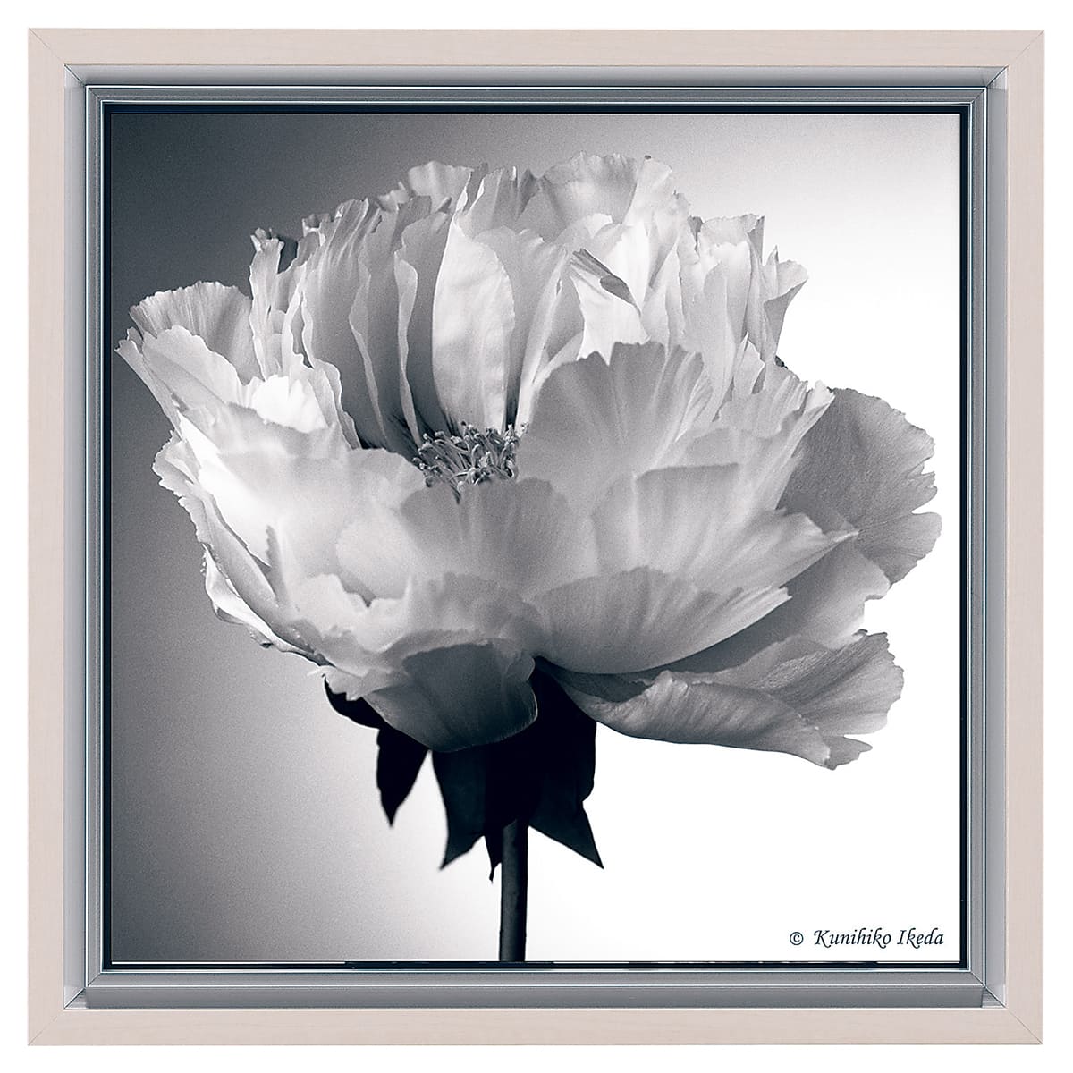 スタイリッシュフラワー AR7222-画像1