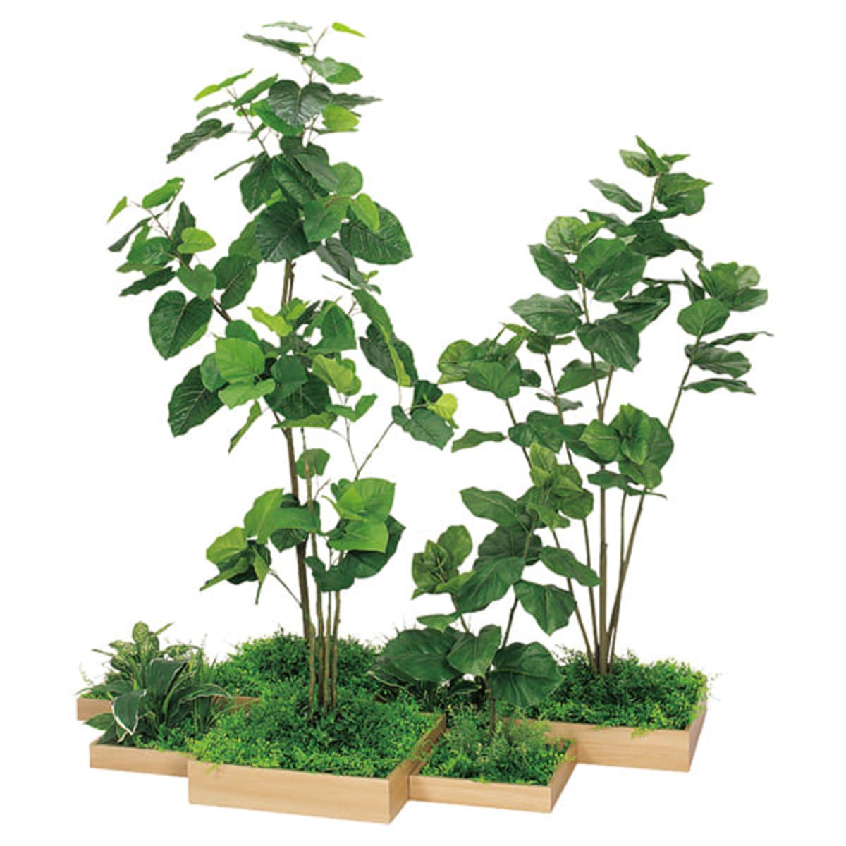 組み合わせプランター 7連 ウンベラータ H1800 GM5703-画像1