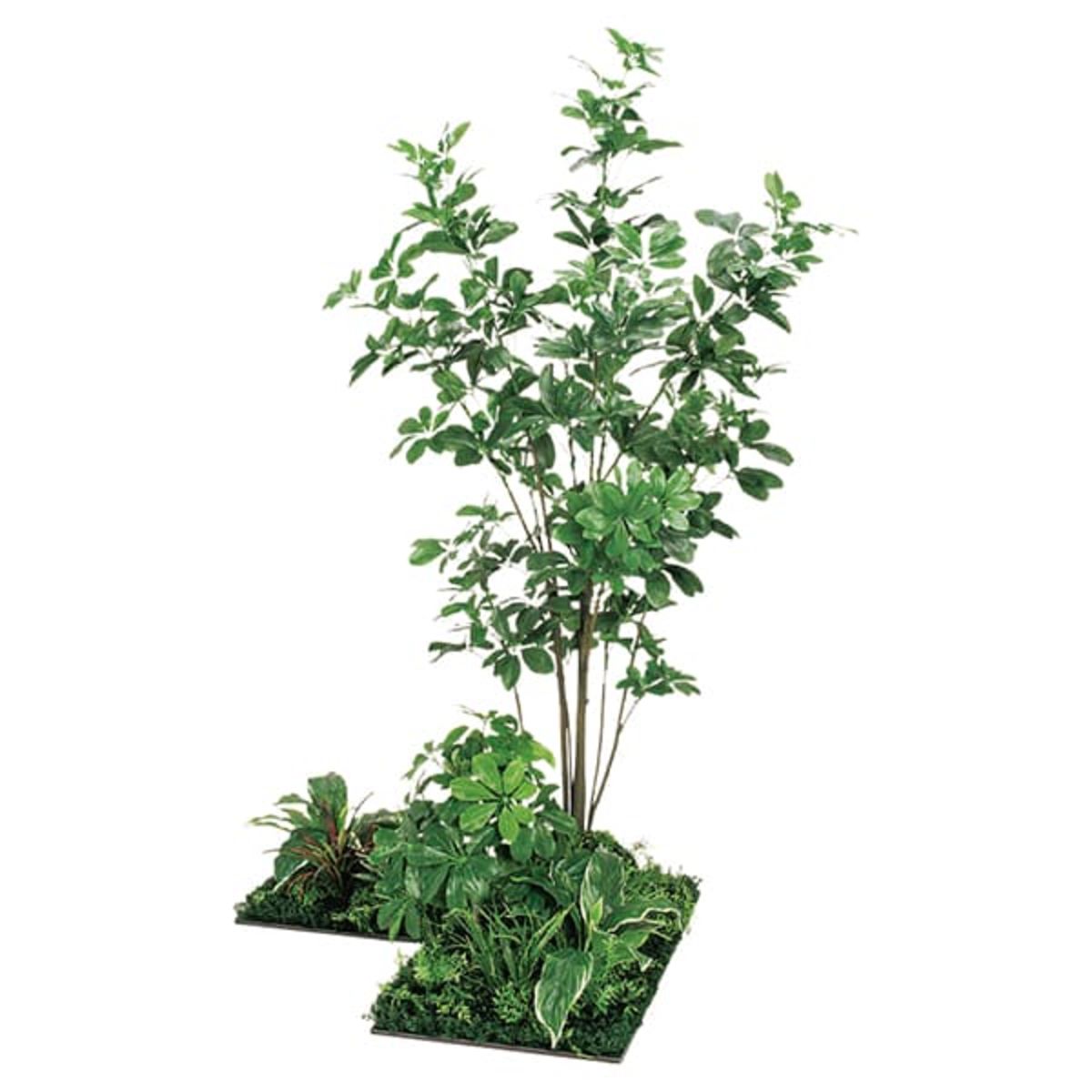 フロアグリーン 3連 シェフレラ H1800 GM5714-画像1