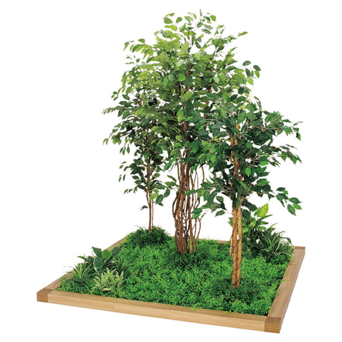 フロアグリーン 45角9連 フィカスベンジャミン H1800 GM5721-画像1