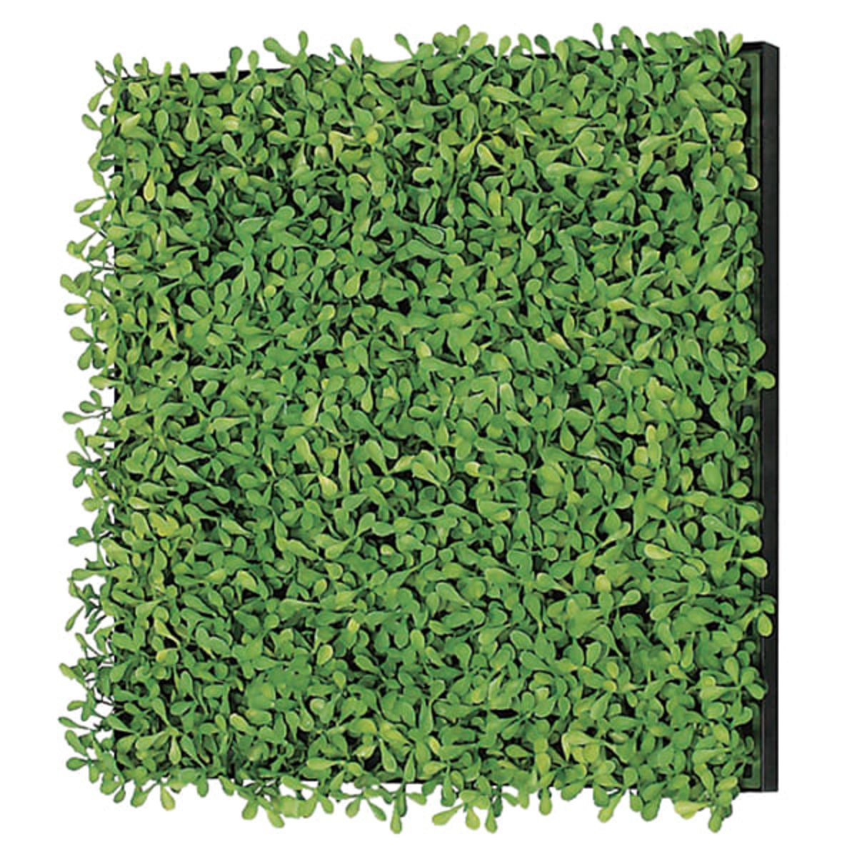 連接グリーン 30角 GR1154-画像1