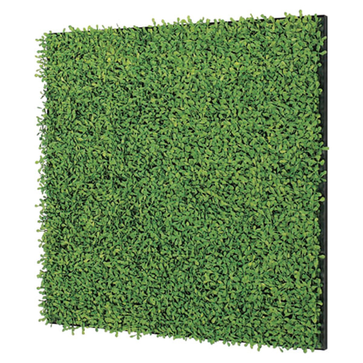 連接グリーン 60角 GR1156-画像1