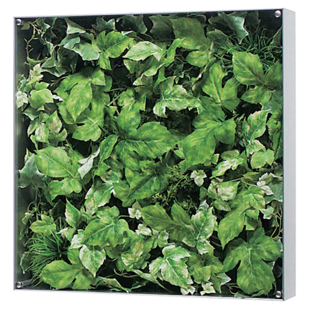 ウォールグリーン GR3110-画像1