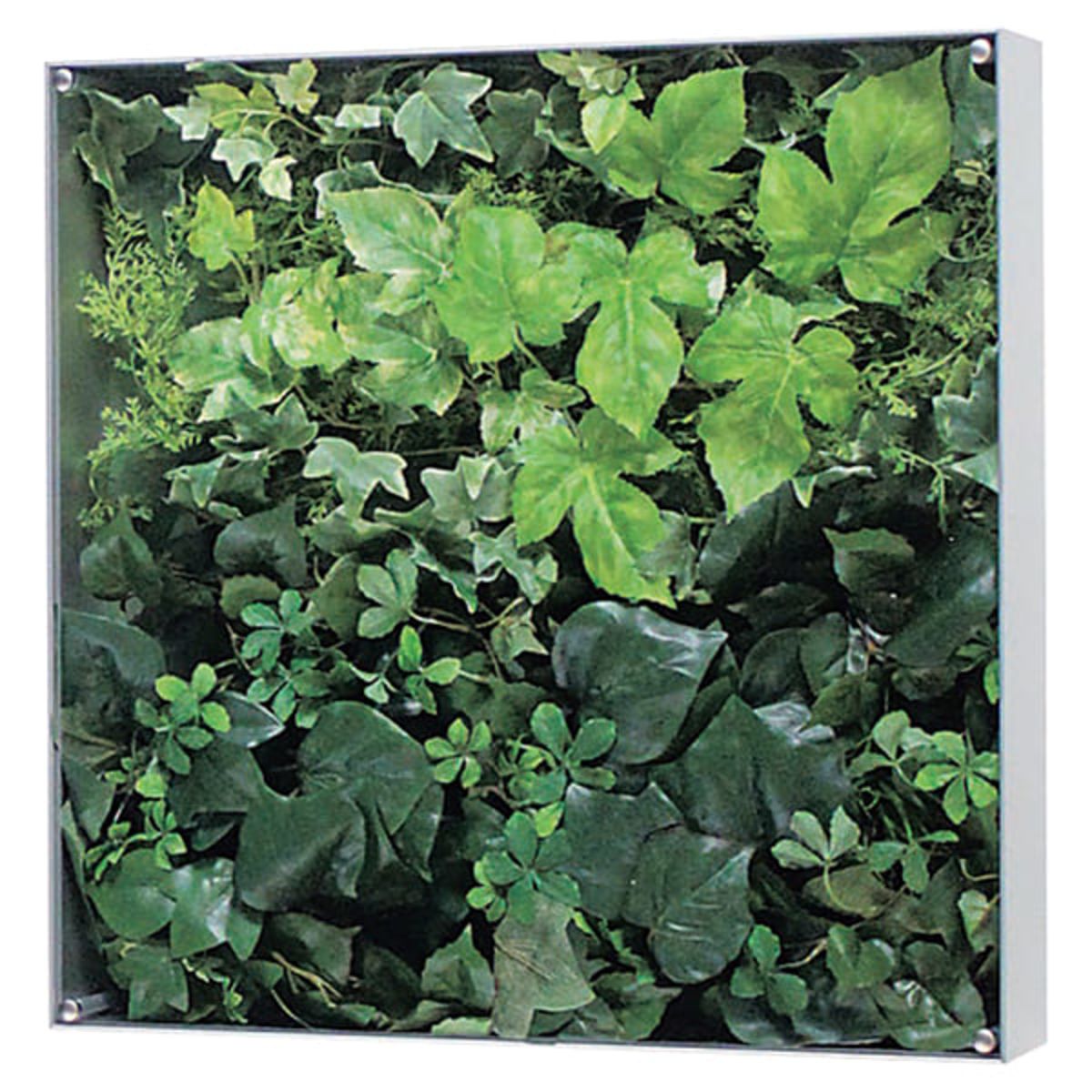 ウォールグリーン GR3111-画像1