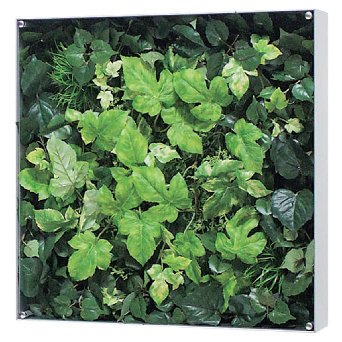 ウォールグリーン GR3112-画像1