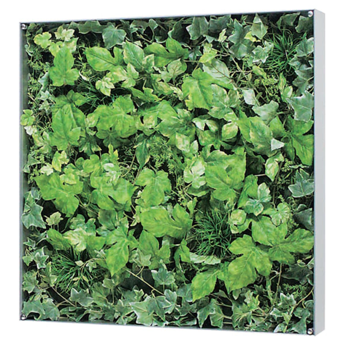 ウォールグリーン GR3114-画像1