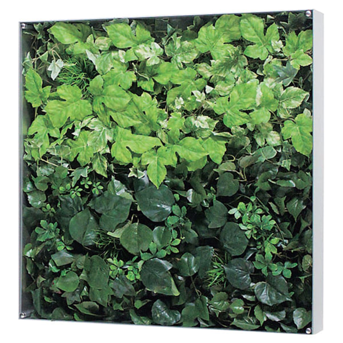 ウォールグリーン GR3115-画像1