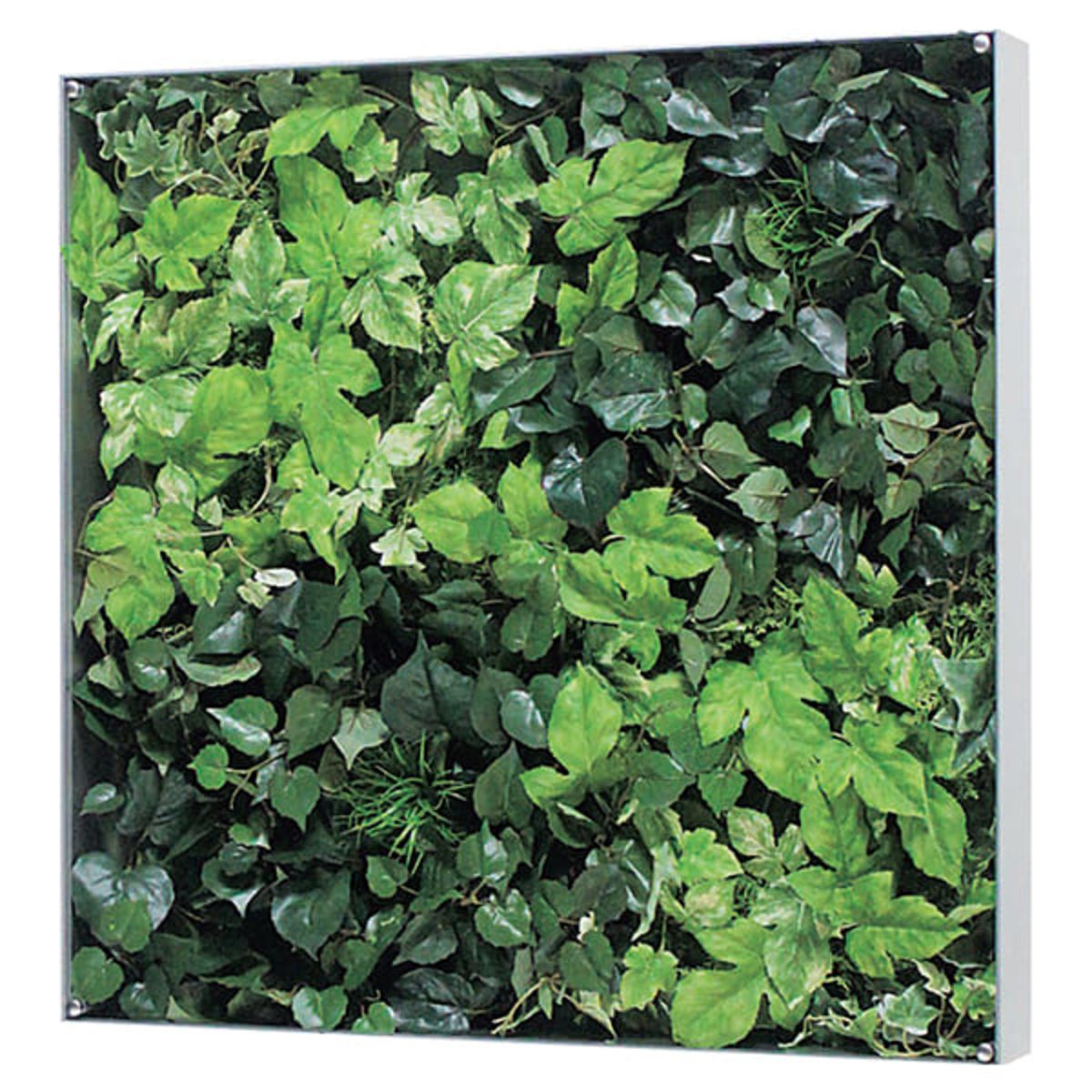 ウォールグリーン GR3116-画像1