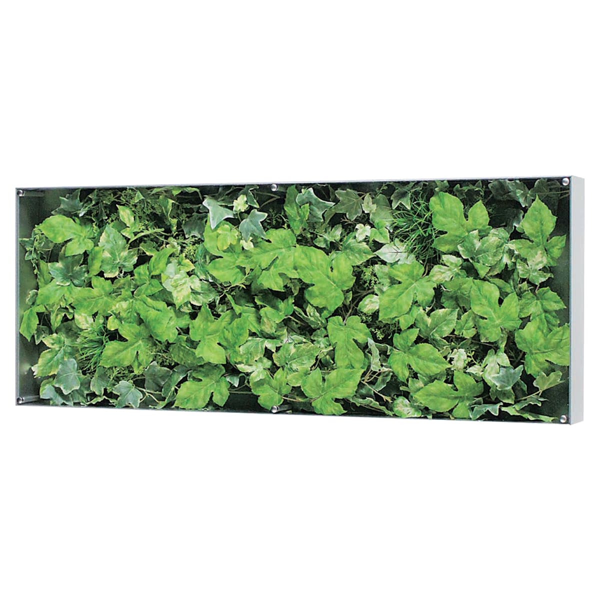 ウォールグリーン GR3118｜ベルクのグリーンパネル