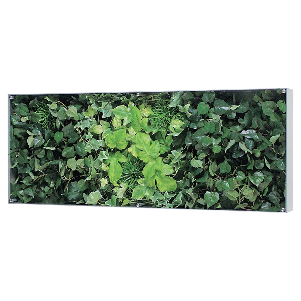 ウォールグリーン GR3119-画像1