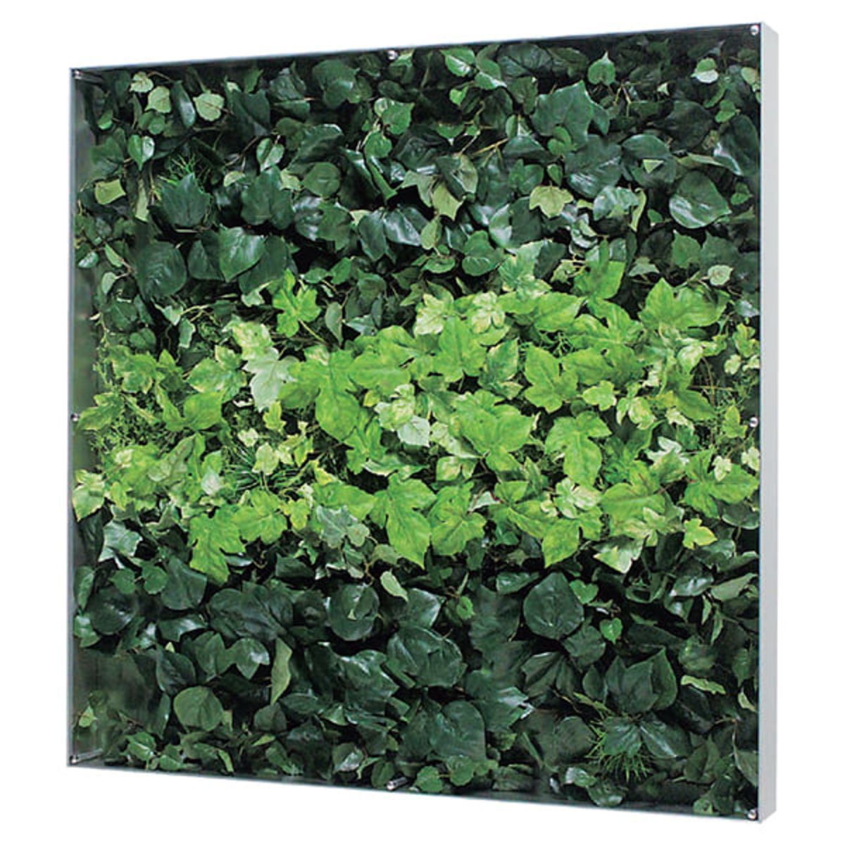 ウォールグリーン GR3120-画像1