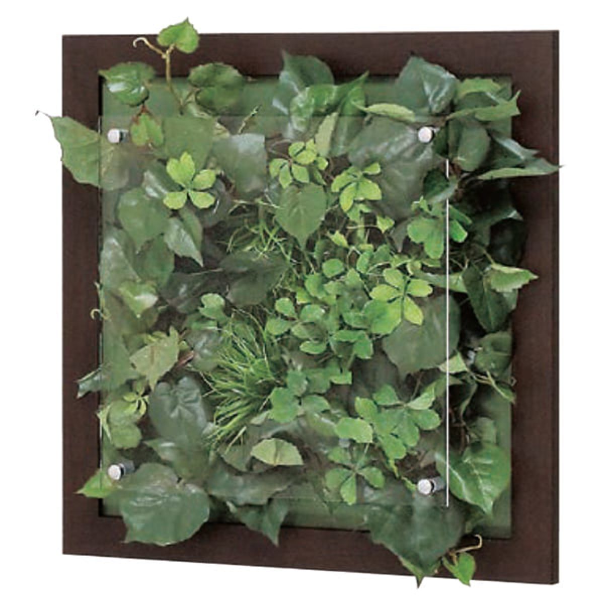 ウォールグリーン GR3341-画像1