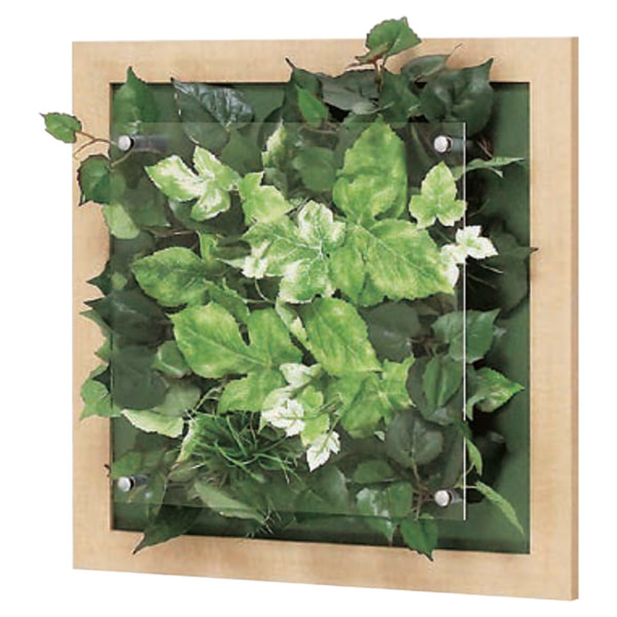 ウォールグリーン GR3344-画像1