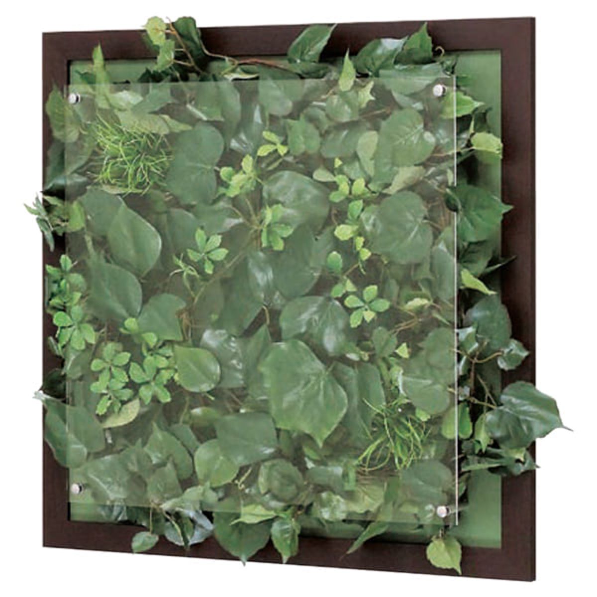 ウォールグリーン GR3347-画像1