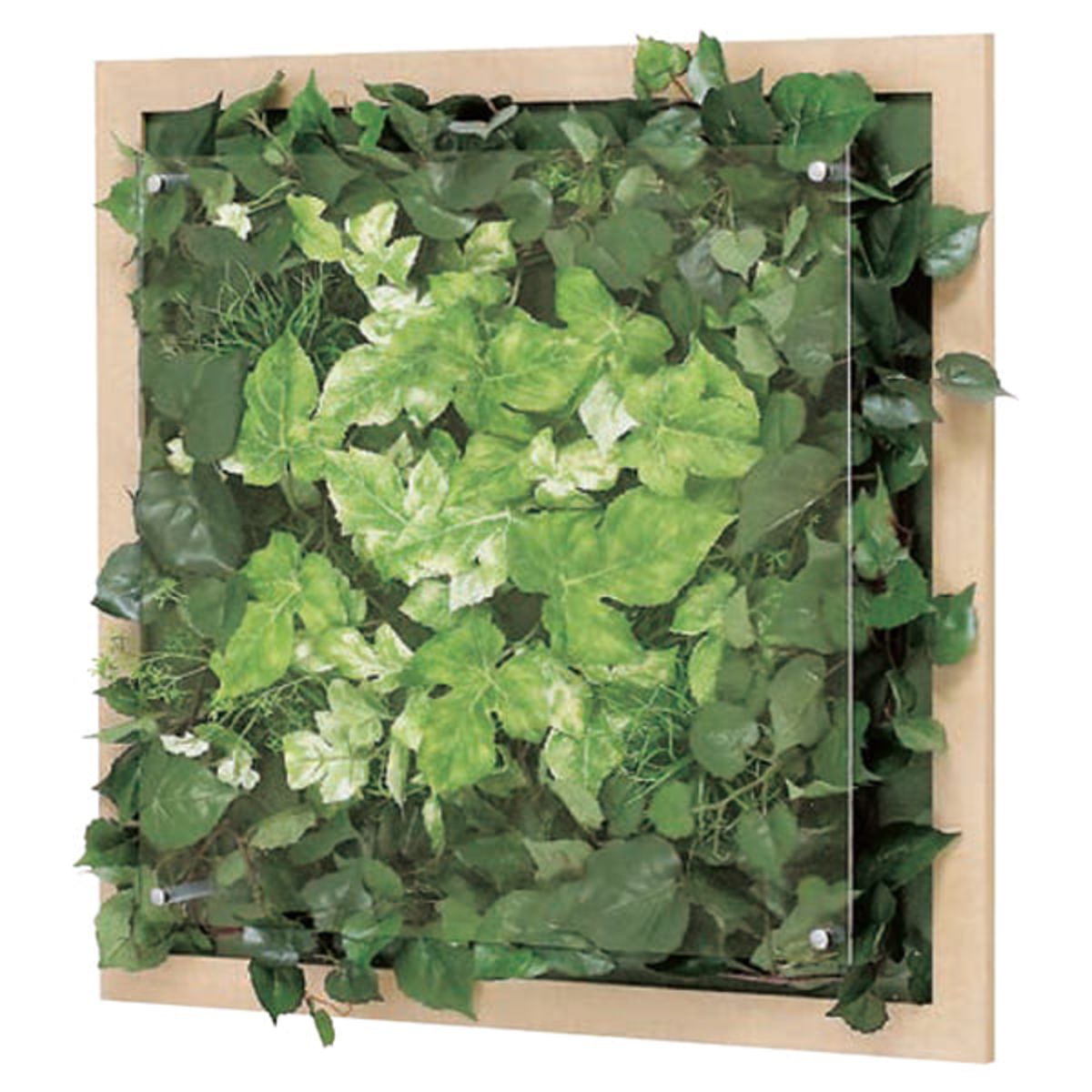 ウォールグリーン GR3350-画像1