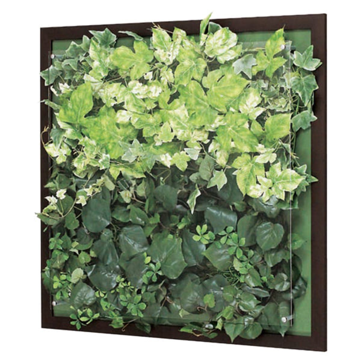 ウォールグリーン GR3353-画像1