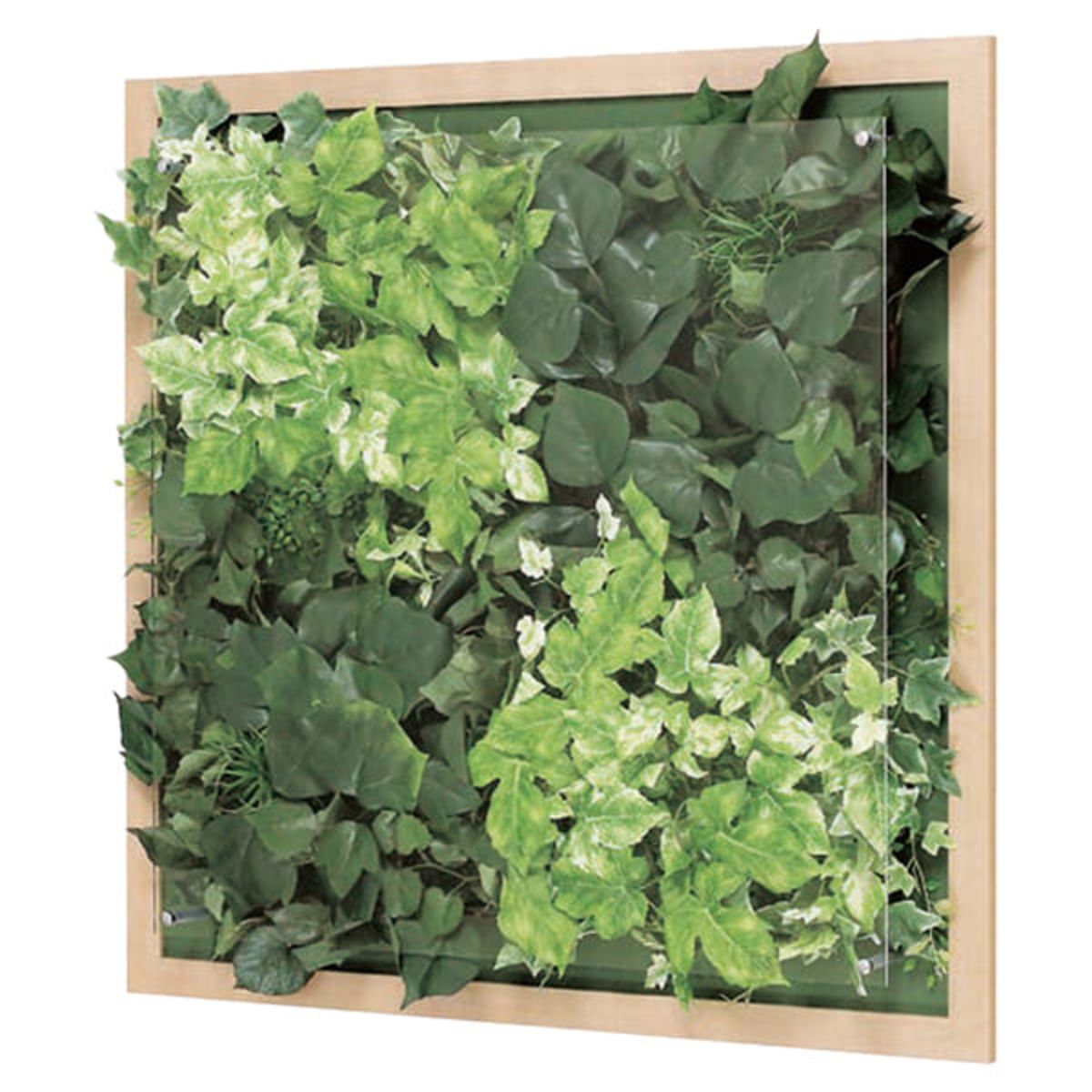 ウォールグリーン GR3354-画像1