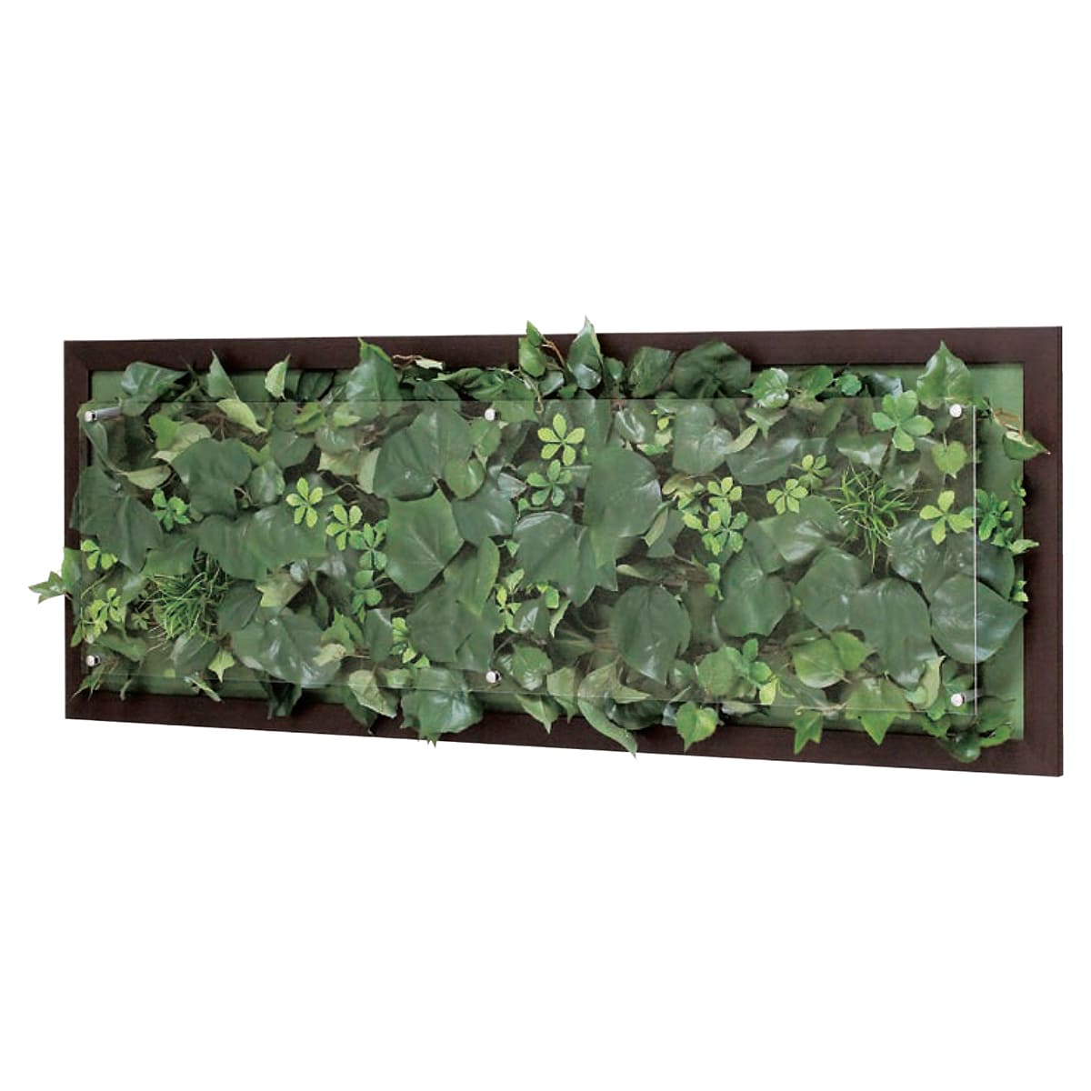 ウォールグリーン GR3355-画像1