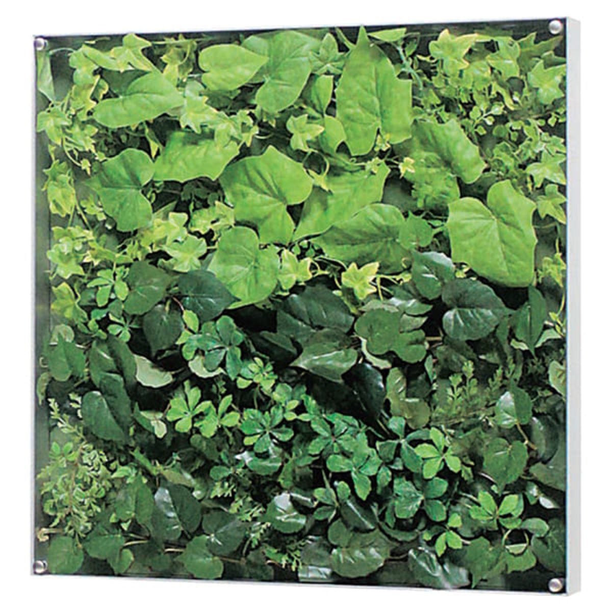 ウォールグリーン GR3563-画像1