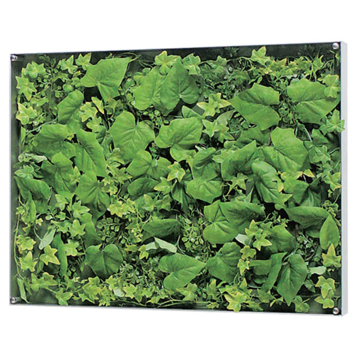 ウォールグリーン GR3565-画像1