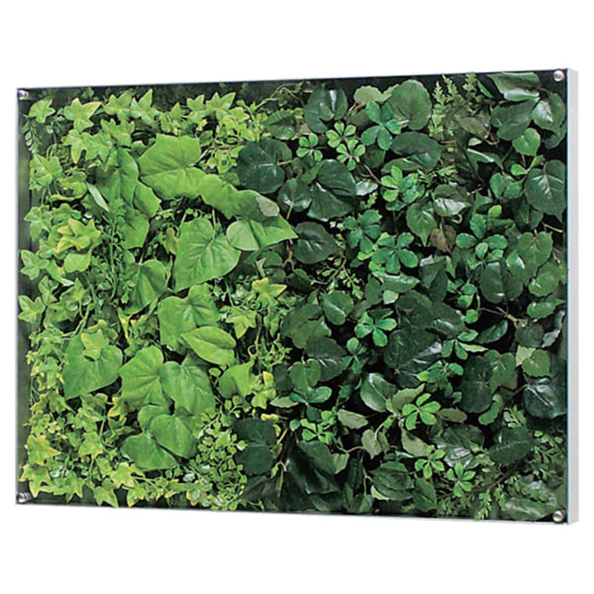 ウォールグリーン GR3566-画像1