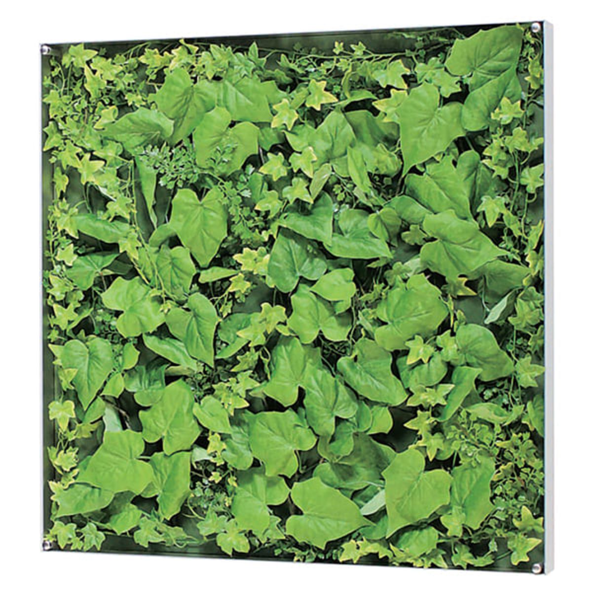 ウォールグリーン GR3568-画像1