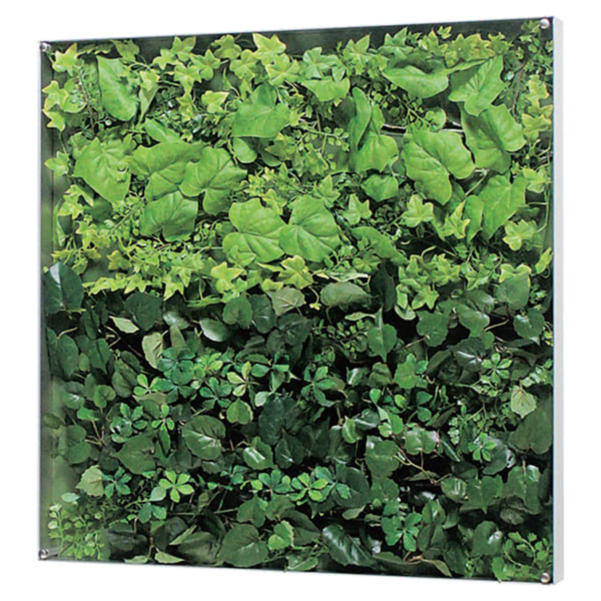 ウォールグリーン GR3569-画像1